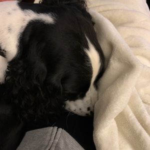 Meet your Posher, Olivia